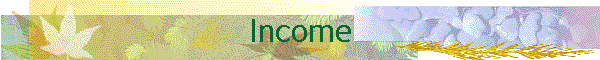 Income