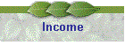 Income