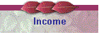 Income