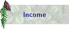Income
