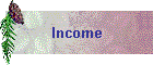 Income